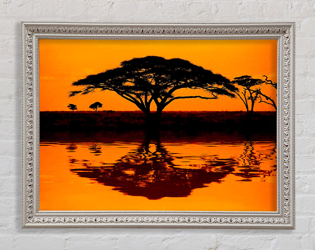 African Tree Reflection Framed Wall Art