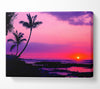 Blaze Of The Palmtree Sun Canvas Wall Art