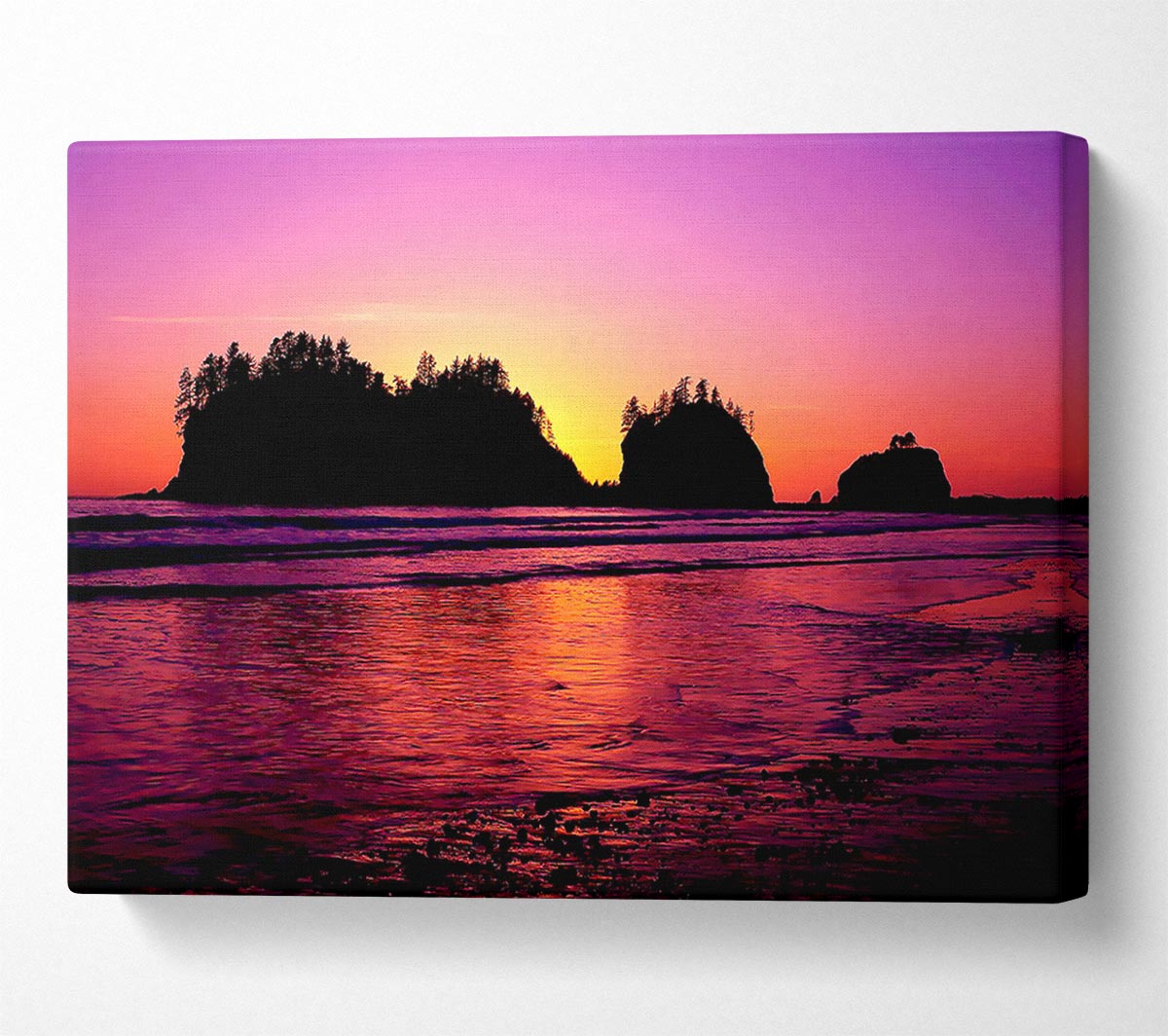 Surreal Pink Ocean Flow Canvas Wall Art