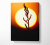 Stunning Sun Glow Orange Canvas Wall Art