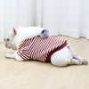 Lamb Wool Cute Cartoon Hoodie