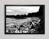 Black And White Driftwood Ocean Framed Wall Art