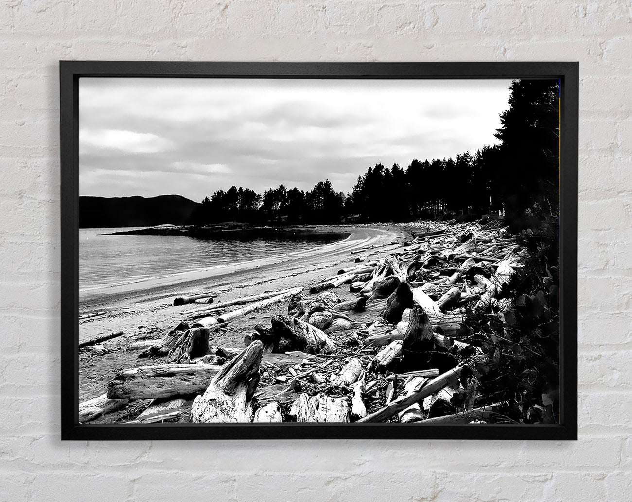 Black And White Driftwood Ocean Framed Wall Art