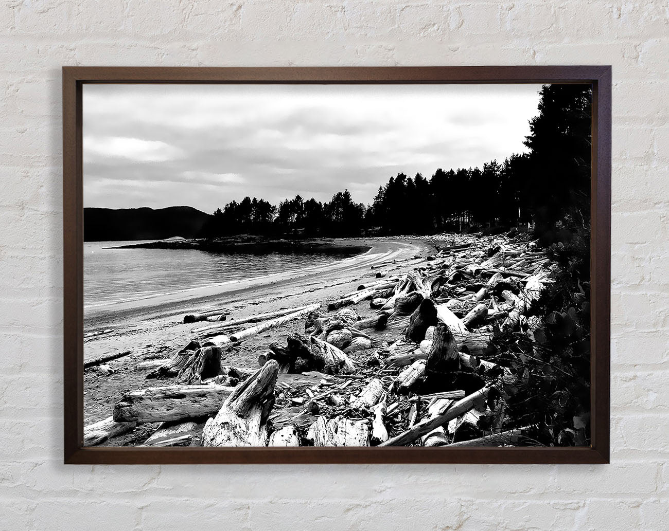 Black And White Driftwood Ocean Framed Wall Art