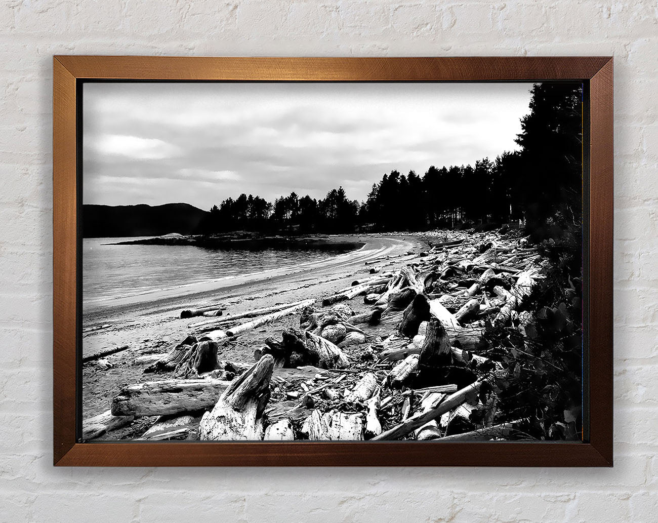 Black And White Driftwood Ocean Framed Wall Art
