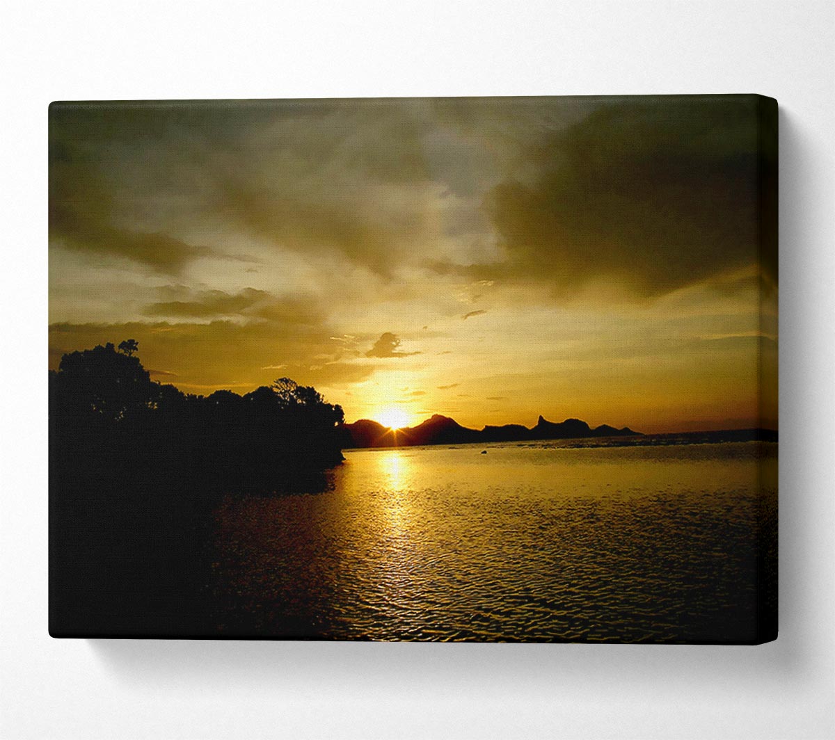 Yellow Sun Reflections Canvas Wall Art