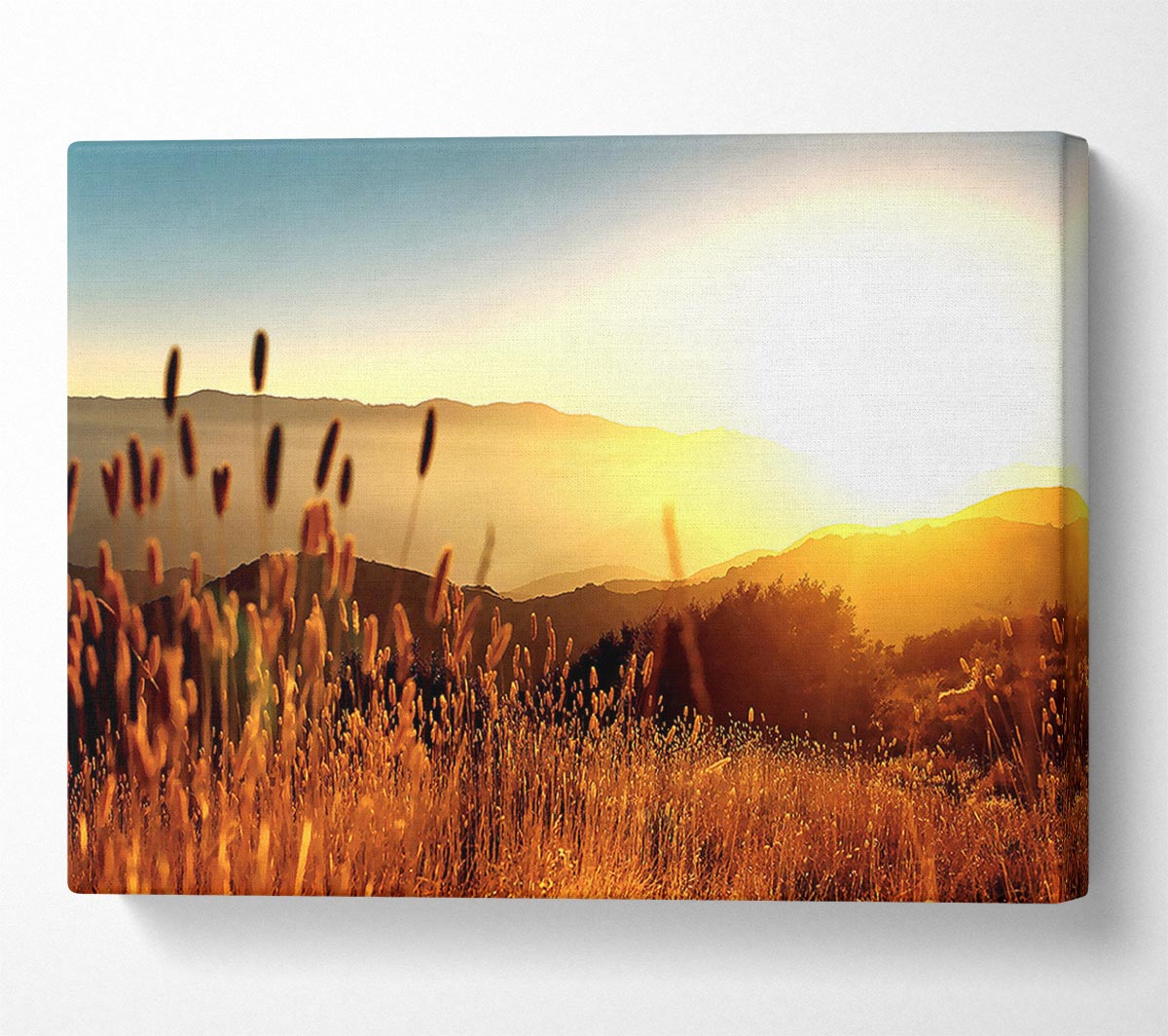 Late Summer Field Canvas Wall Art