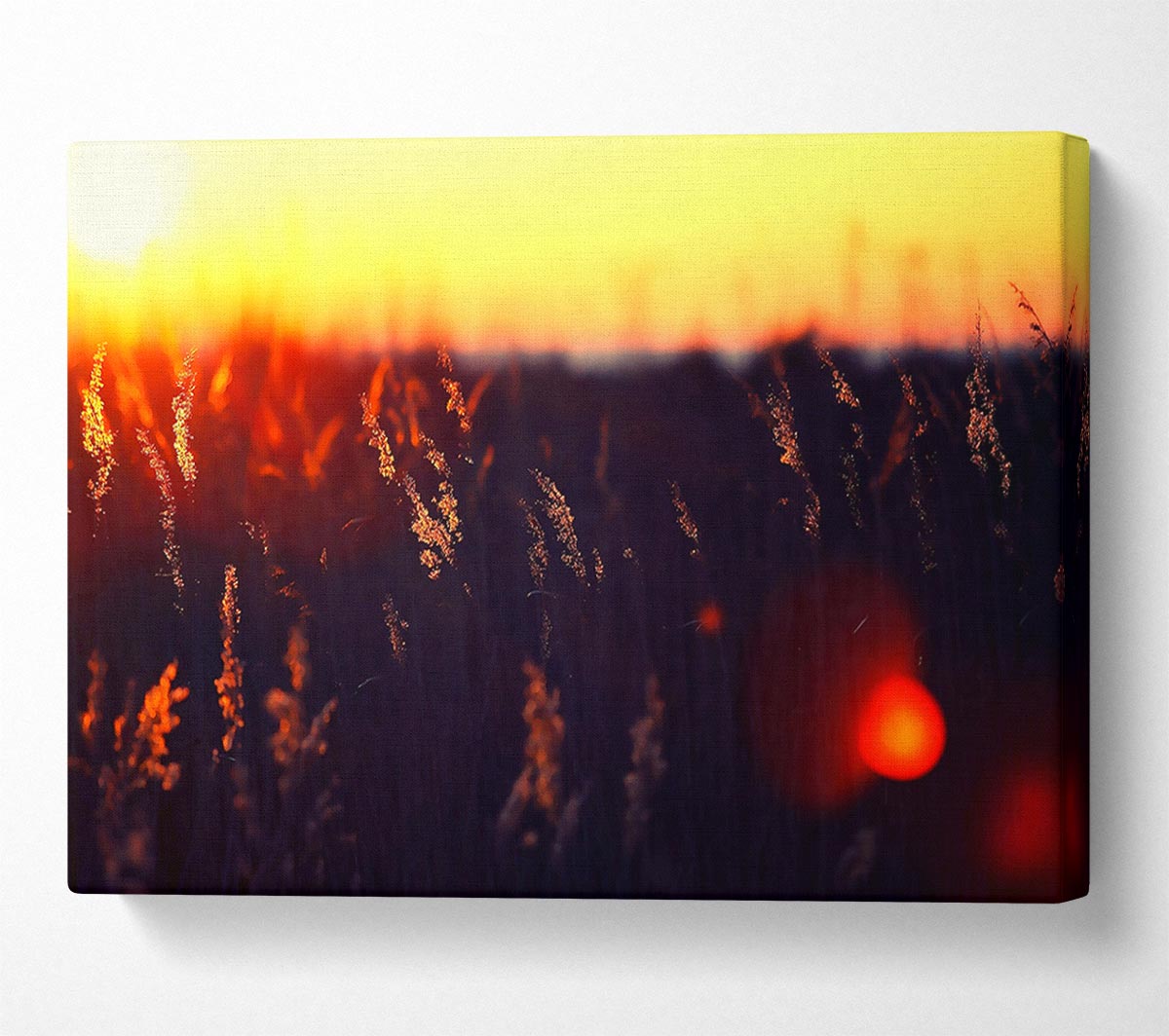 Hot Sunset Canvas Wall Art