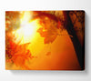 Orange Autumn Canvas Wall Art