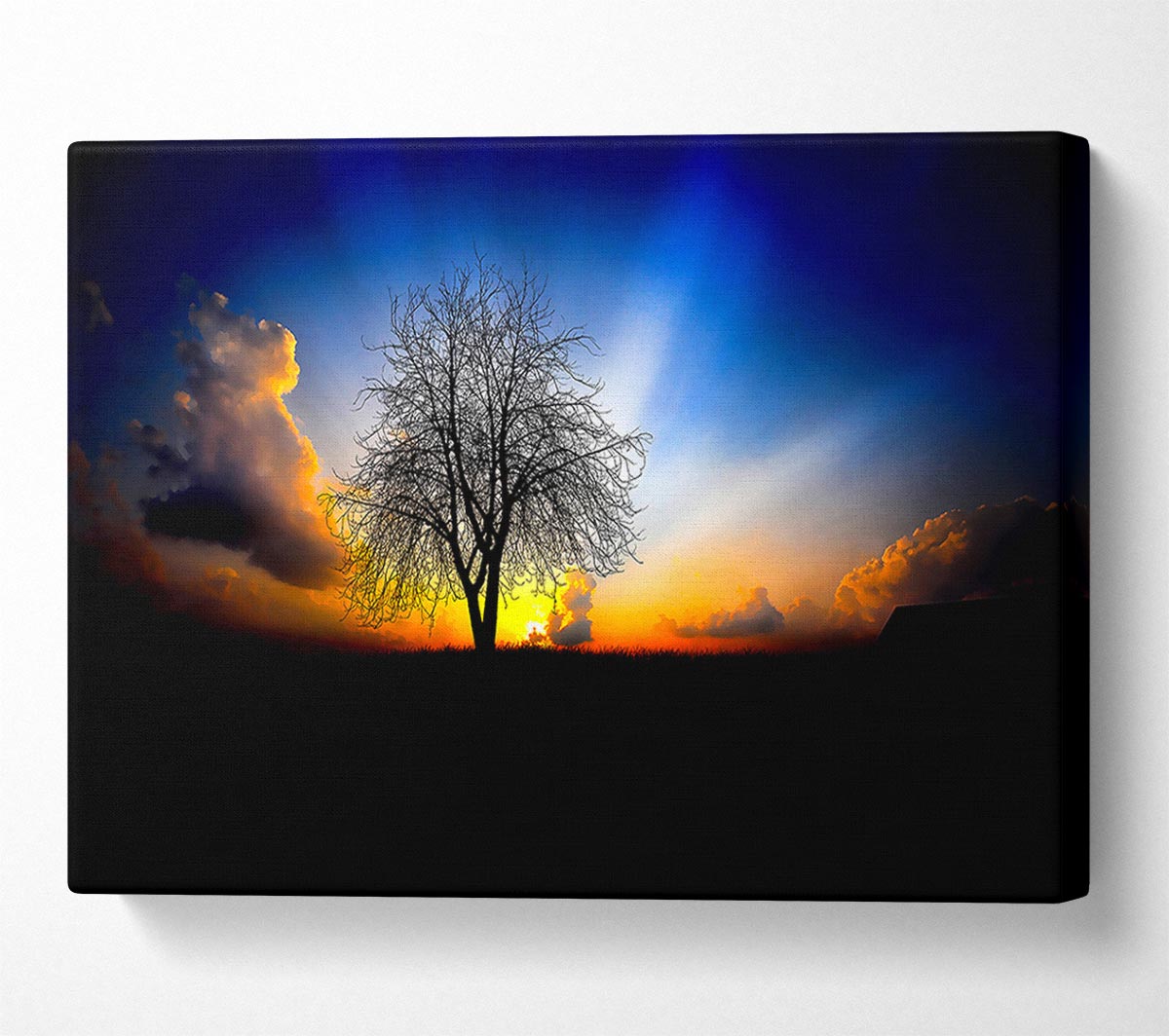 The Next Morning Canvas Wall Art