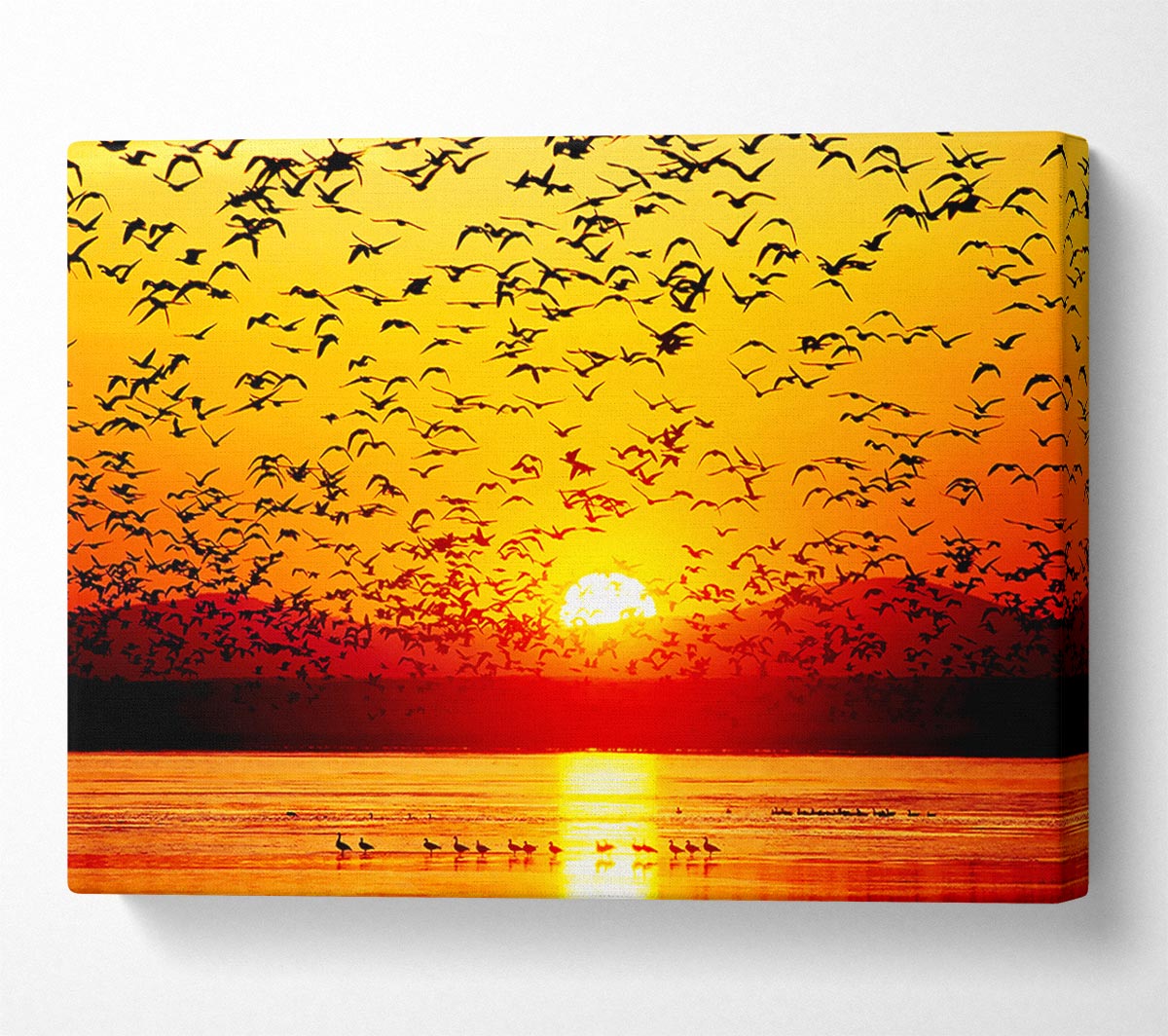 The Birds In The Golden Sunset Canvas Wall Art
