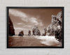 Brown Rocks In The Ocean Framed Wall Art
