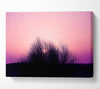 The Sun Reeds Pink Canvas Wall Art