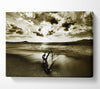 Driftwood Sepia Canvas Wall Art