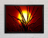 As The Sun Lights Up The Reeds Framed Wall Art