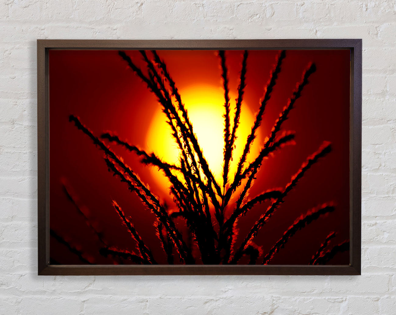 As The Sun Lights Up The Reeds Framed Wall Art