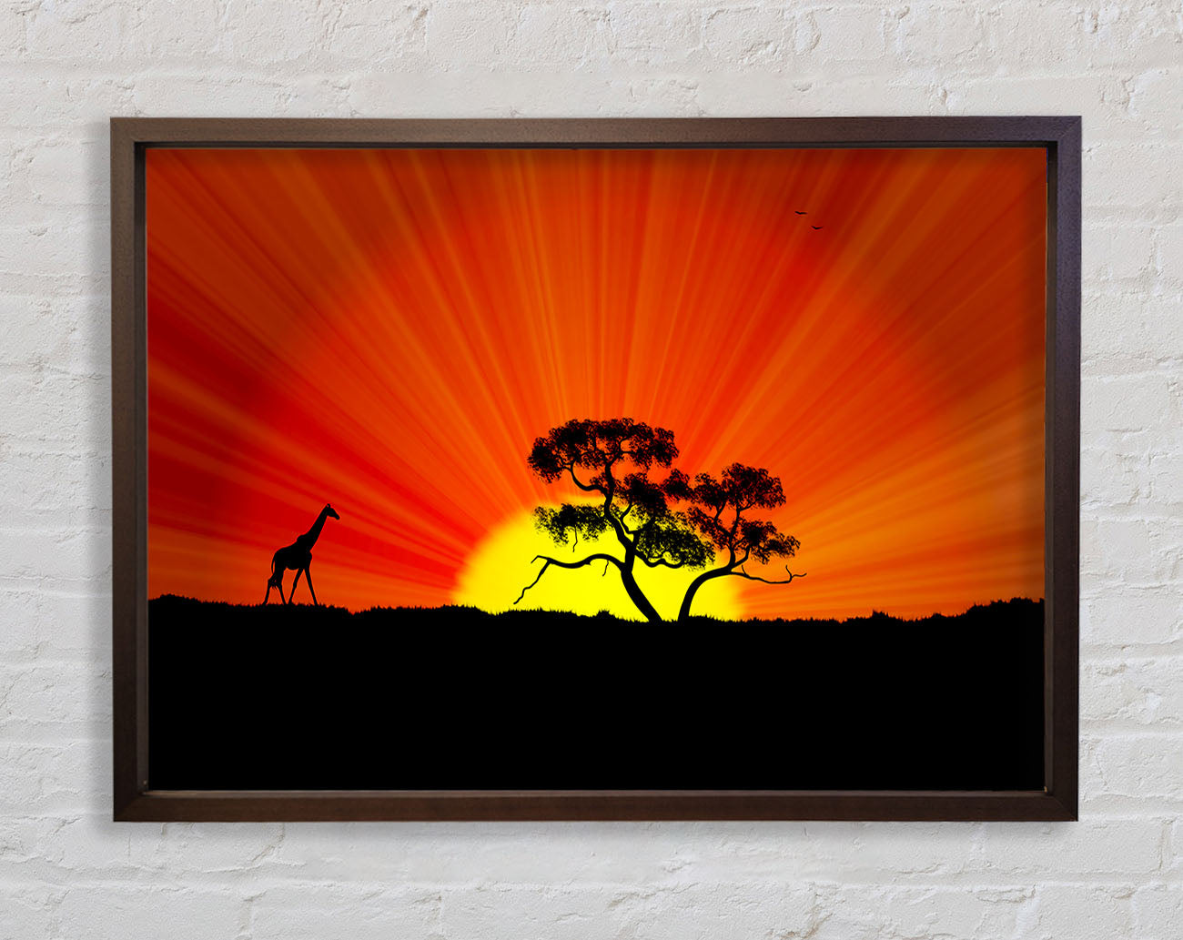 African Sunblaze Framed Wall Art