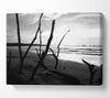 Driftwood Beach B n W Canvas Wall Art