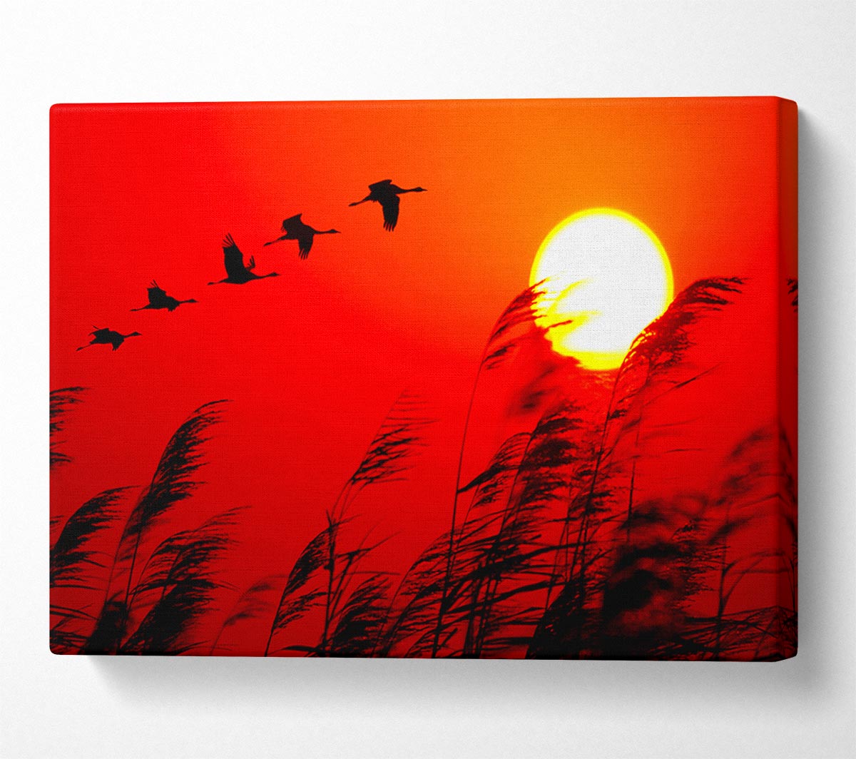 Geese In Flight Under The Red Sun Canvas Wall Art