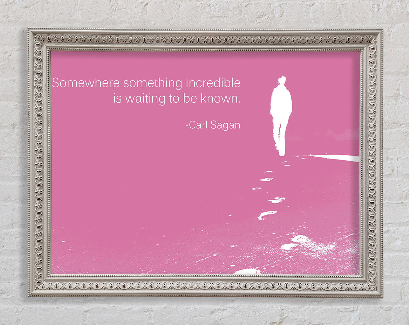Carl Sagan Somewhere Something Pink Framed Wall Art