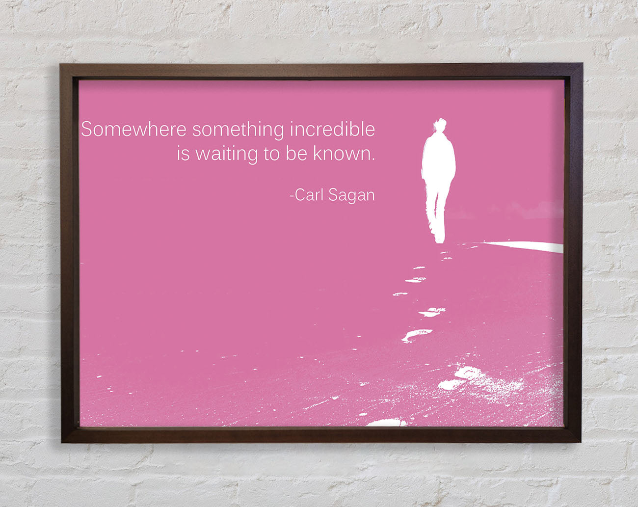 Carl Sagan Somewhere Something Pink Framed Wall Art