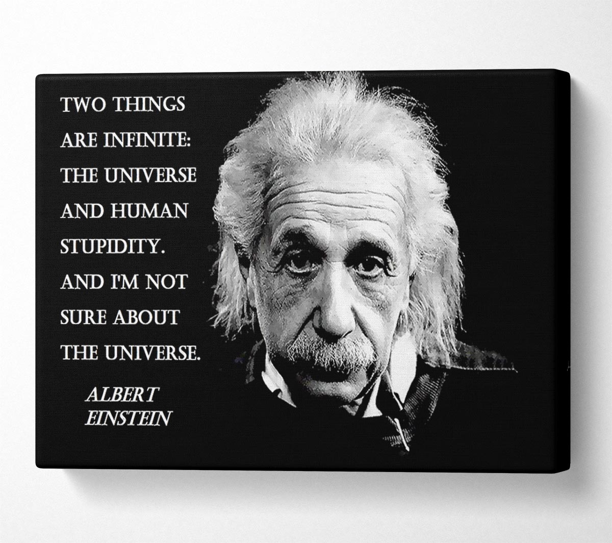 Motivational Quote Albert Einstein The Universe Canvas Wall Art