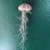 Tillandsia usneoides (Spanish Moss)