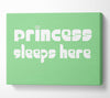 Nursery Quote Princess sleeps 2 Green Canvas Wall Art