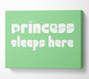 Princesss Sleeps Here 2 Green Canvas Wall Art