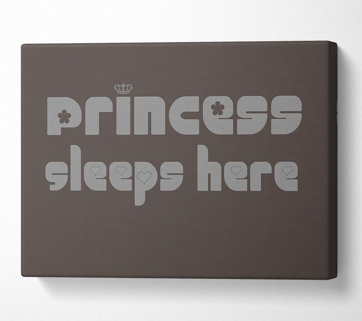 Princesss Sleeps Here 2 Chocolate Canvas Wall Art