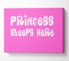 Nursery Quote Princesss Sleeps Here Vivid Pink Canvas Wall Art