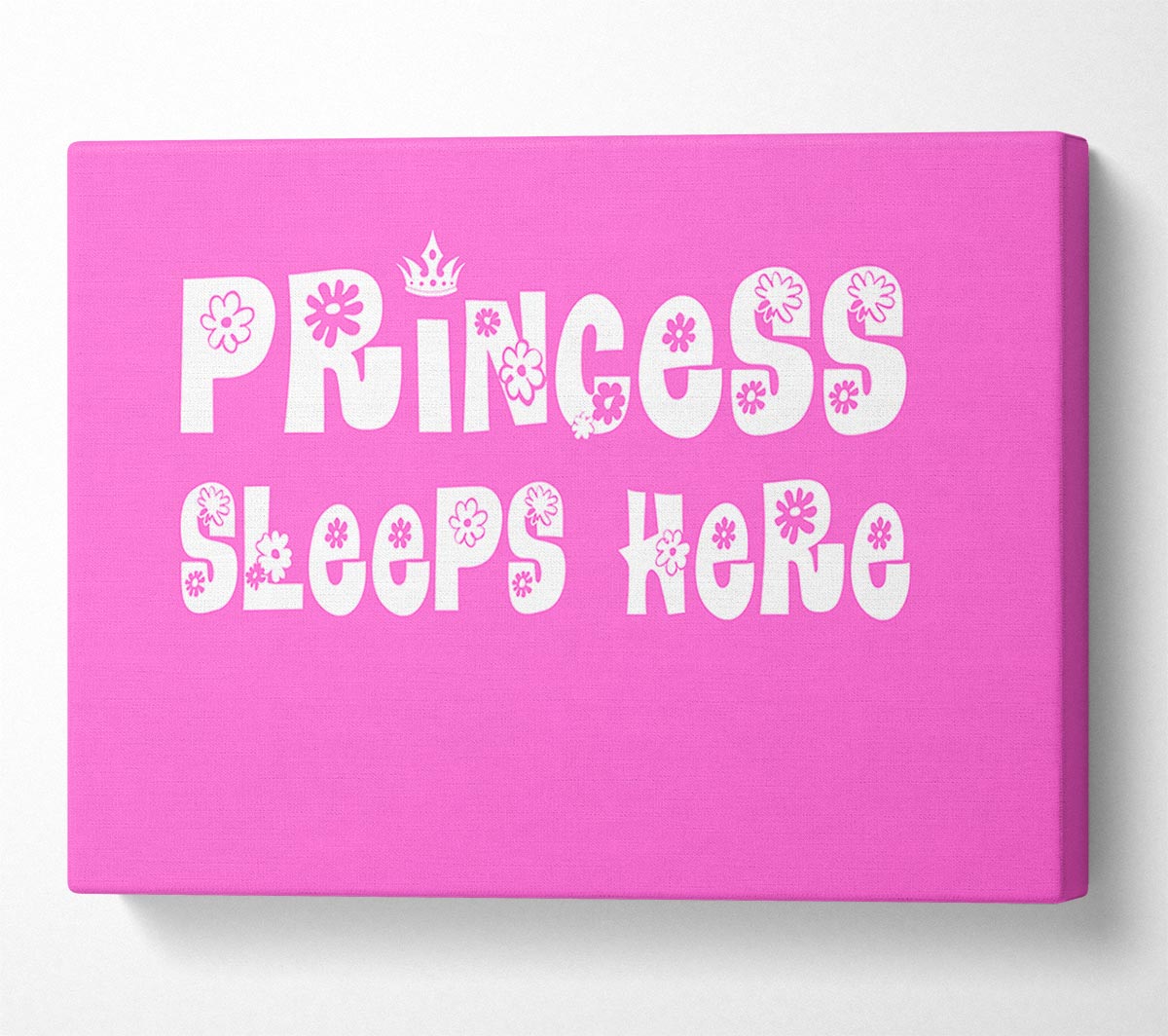 Nursery Quote Princesss Sleeps Here Vivid Pink Canvas Wall Art
