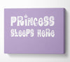 Nursery Quote Princesss Sleeps Here Lilac Canvas Wall Art