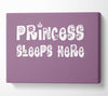Girls Room Quote Princesss Sleeps Here Dusty Pink Canvas Wall Art