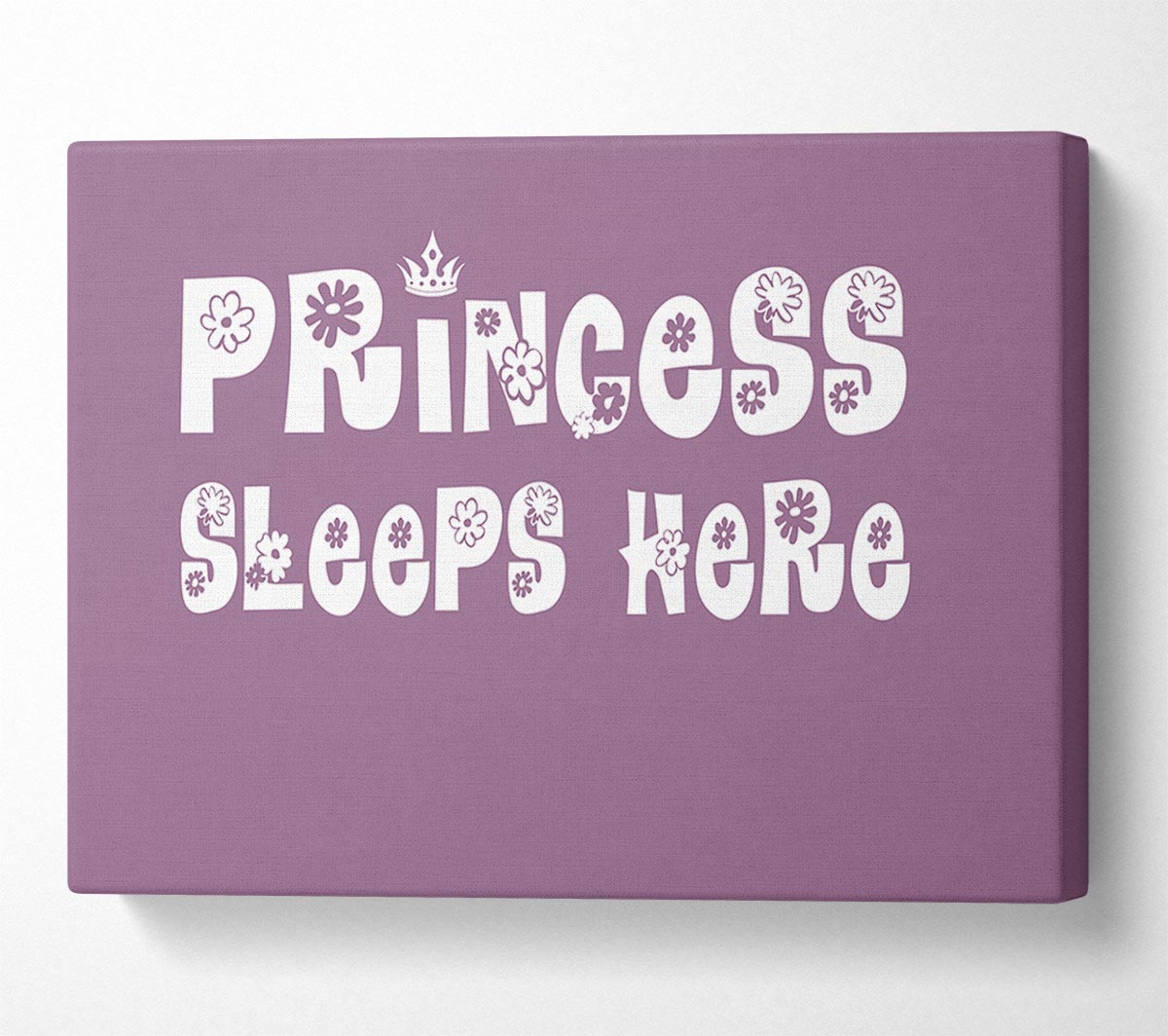 Girls Room Quote Princesss Sleeps Here Dusty Pink Canvas Wall Art