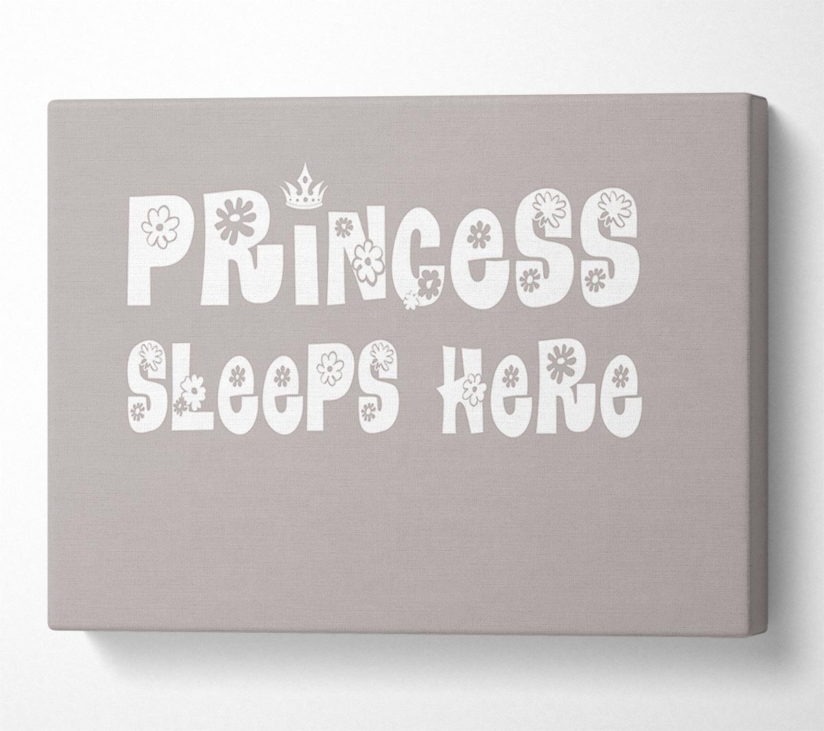 Princesss Sleeps Here Beige Canvas Wall Art