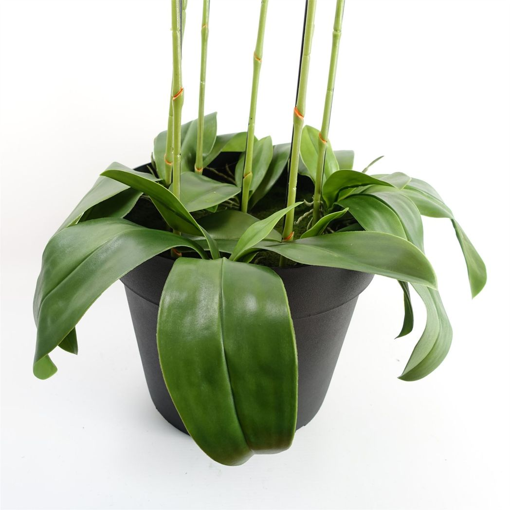 150cm Giant Pink Orchid Plant Artificial 189 flowers REAL TOUCH
