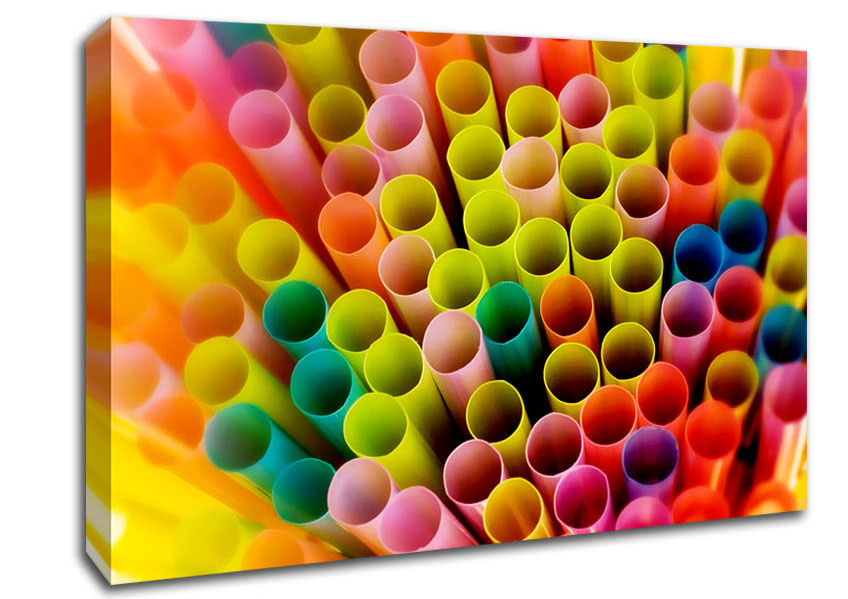 Colourful Straws Canvas Wall Art