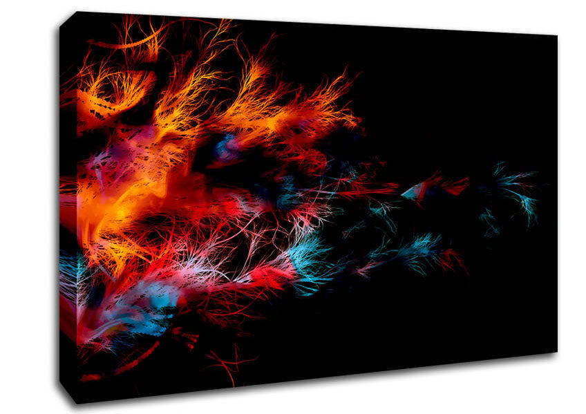 Feather Delight Canvas Wall Art