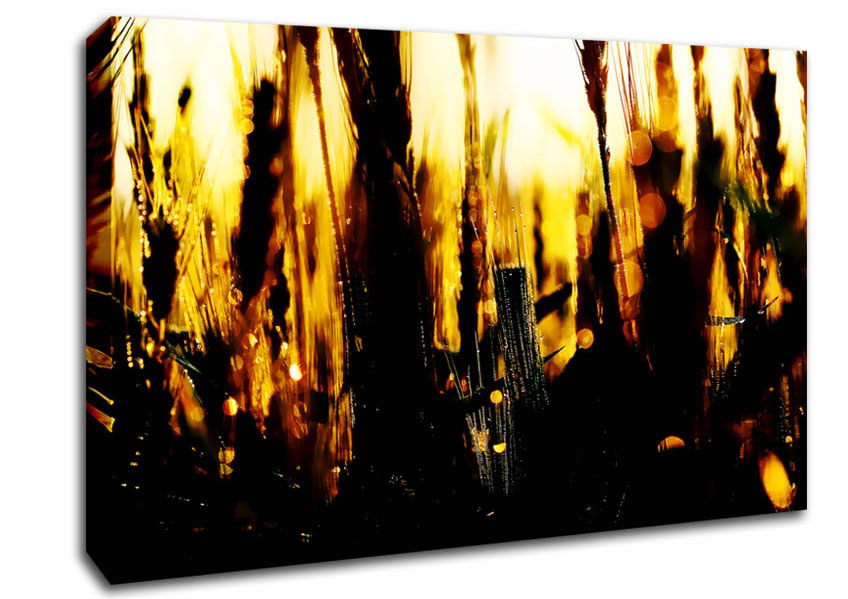 Golden Wheatfield Canvas Wall Art