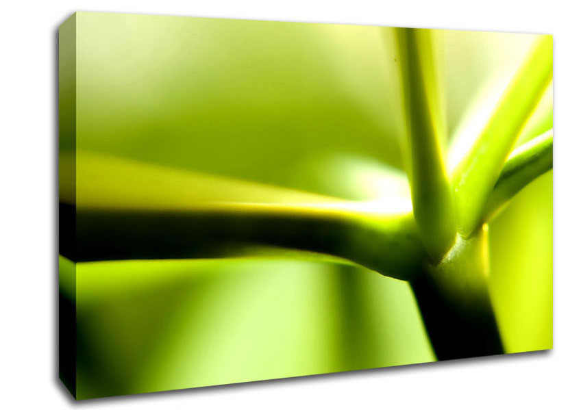 Green Stem Canvas Wall Art