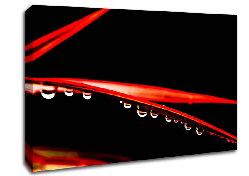 Hanging On Canvas Wall Art