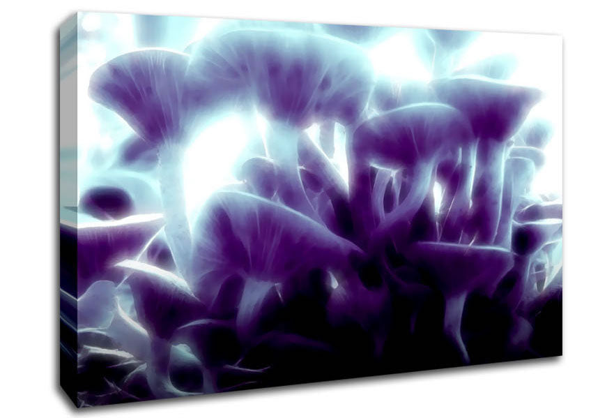 Magic Mystical Mushrooms Canvas Wall Art