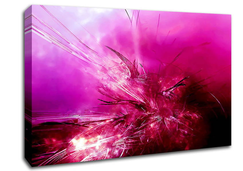 Pink Fury Canvas Wall Art