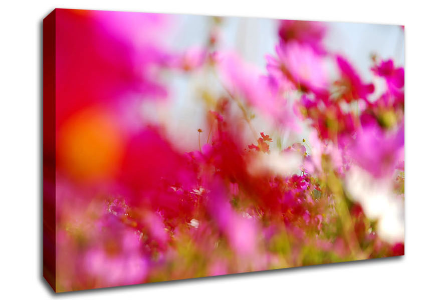 Pinkish Canvas Wall Art