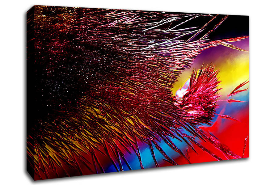 Rainbow Feathers Canvas Wall Art