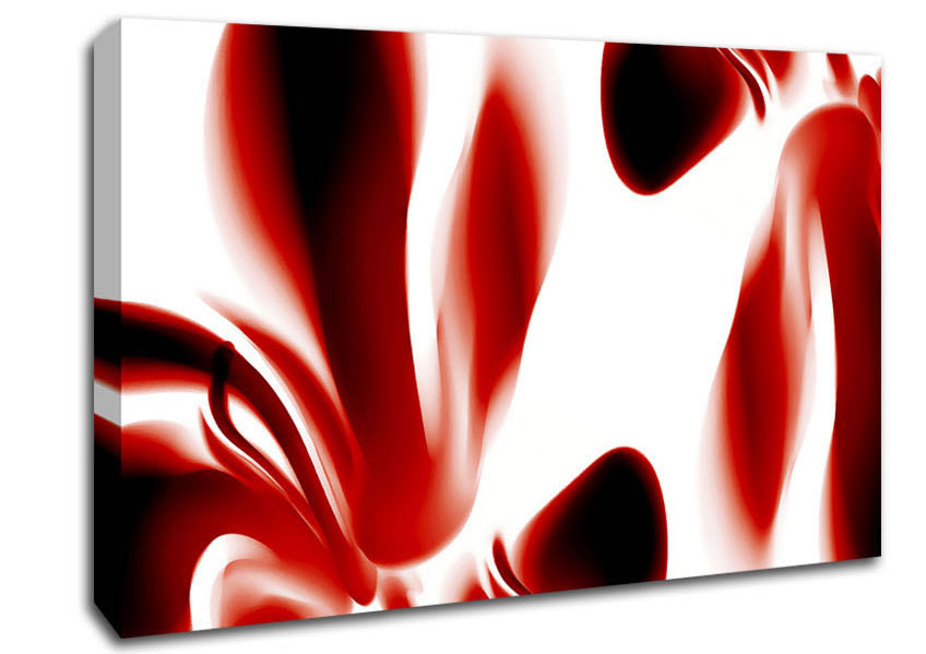 Red Raspberry Ripple Canvas Wall Art