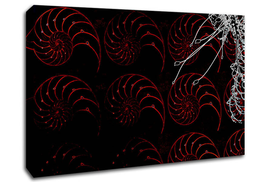 Shells Canvas Wall Art