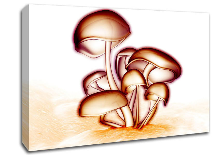 Toad Stool Canvas Wall Art