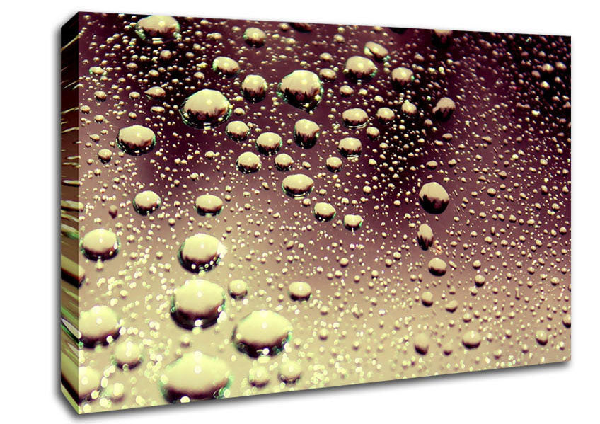 Wet Surface Canvas Wall Art